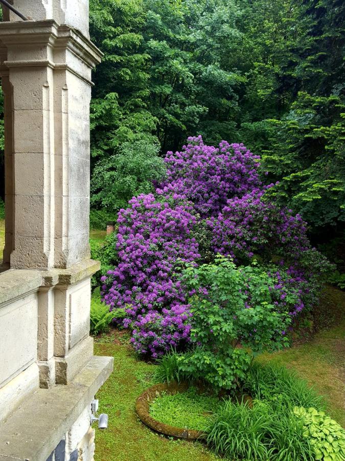 Romantic Chateau Krásná Lípa Dış mekan fotoğraf